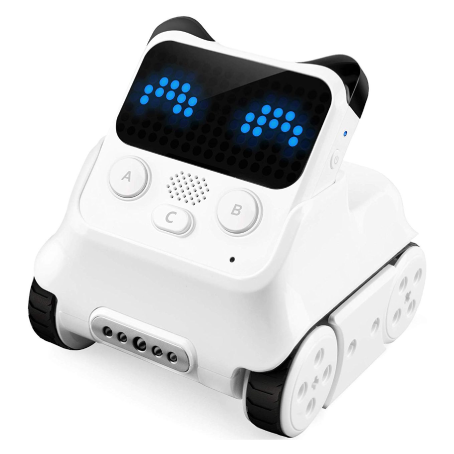 Codey Rockey 科迪貓